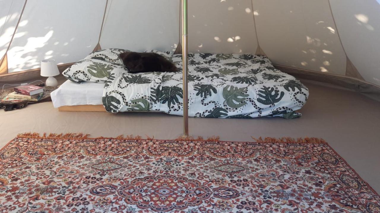 Glamping Fluffy Horns - Glempings Pukainie Ragi Hotel Plienciems Exterior photo