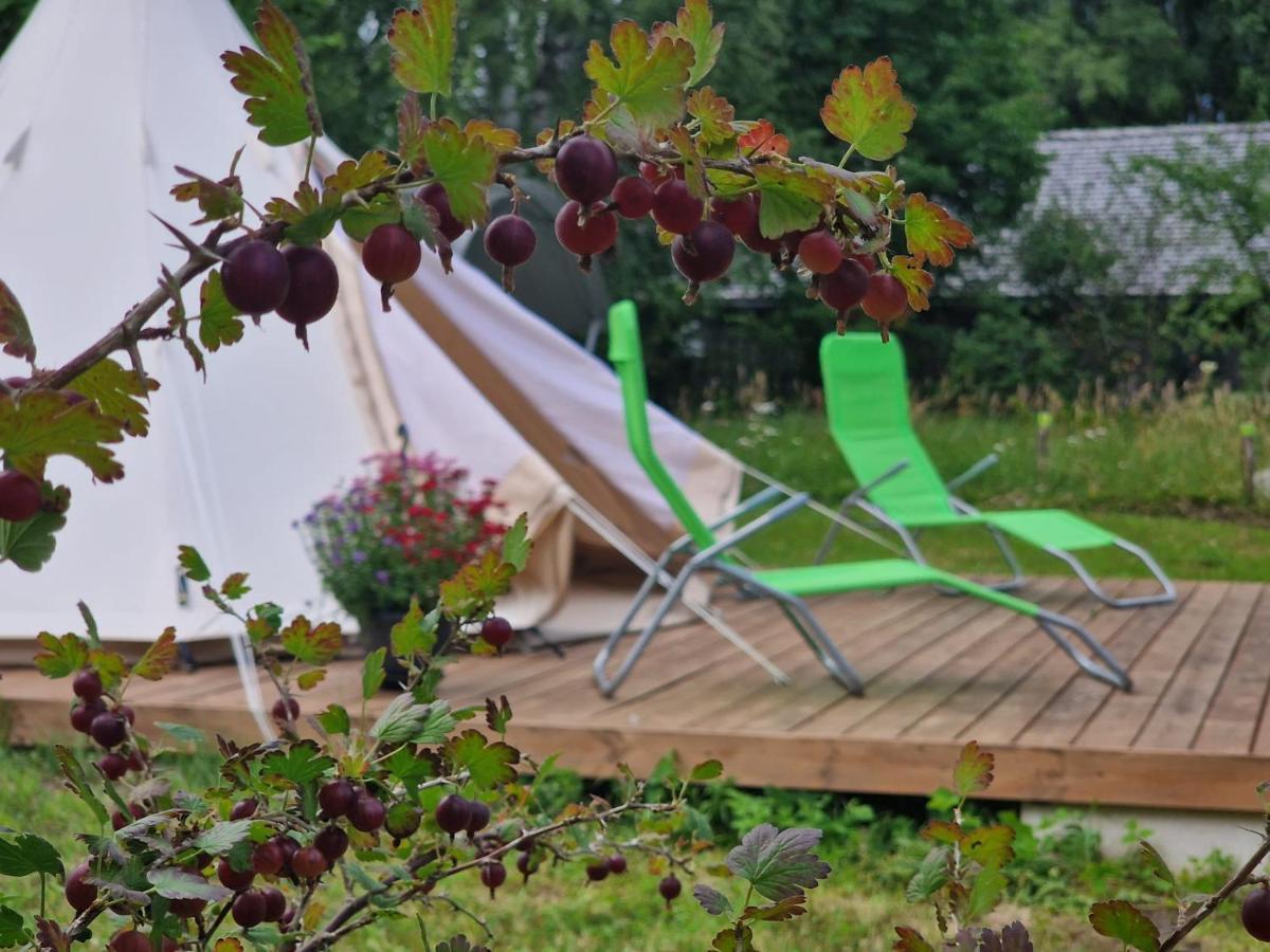 Glamping Fluffy Horns - Glempings Pukainie Ragi Hotel Plienciems Exterior photo